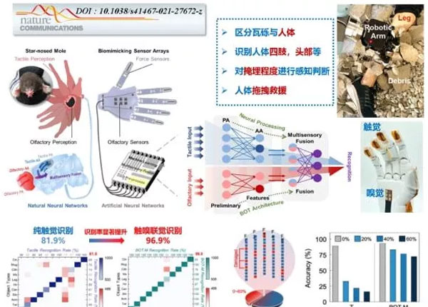 中科院利用高精度MEMS傳感器陣列研制出觸嗅一體智能仿生機械手